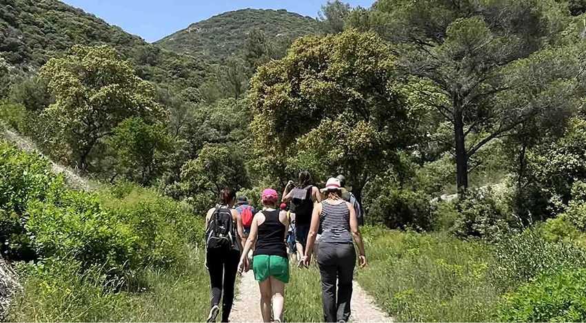 Randonneurs dans le massif forestier du Luberon, avec un rappel que l’accès aux massifs est réglementé du 15 juin au 15 septembre pour des raisons de sécurité et de prévention des incendies 