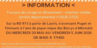 Travaux RD973