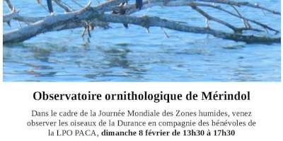 Journée mondiale des zones humides 2026