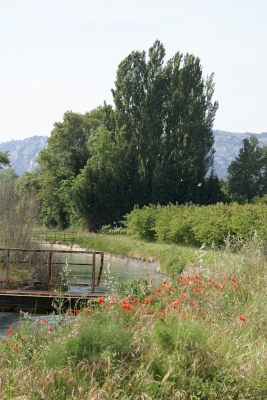 Vue sur le canal