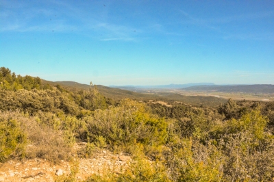 Vue de la garrigue et plateau 
