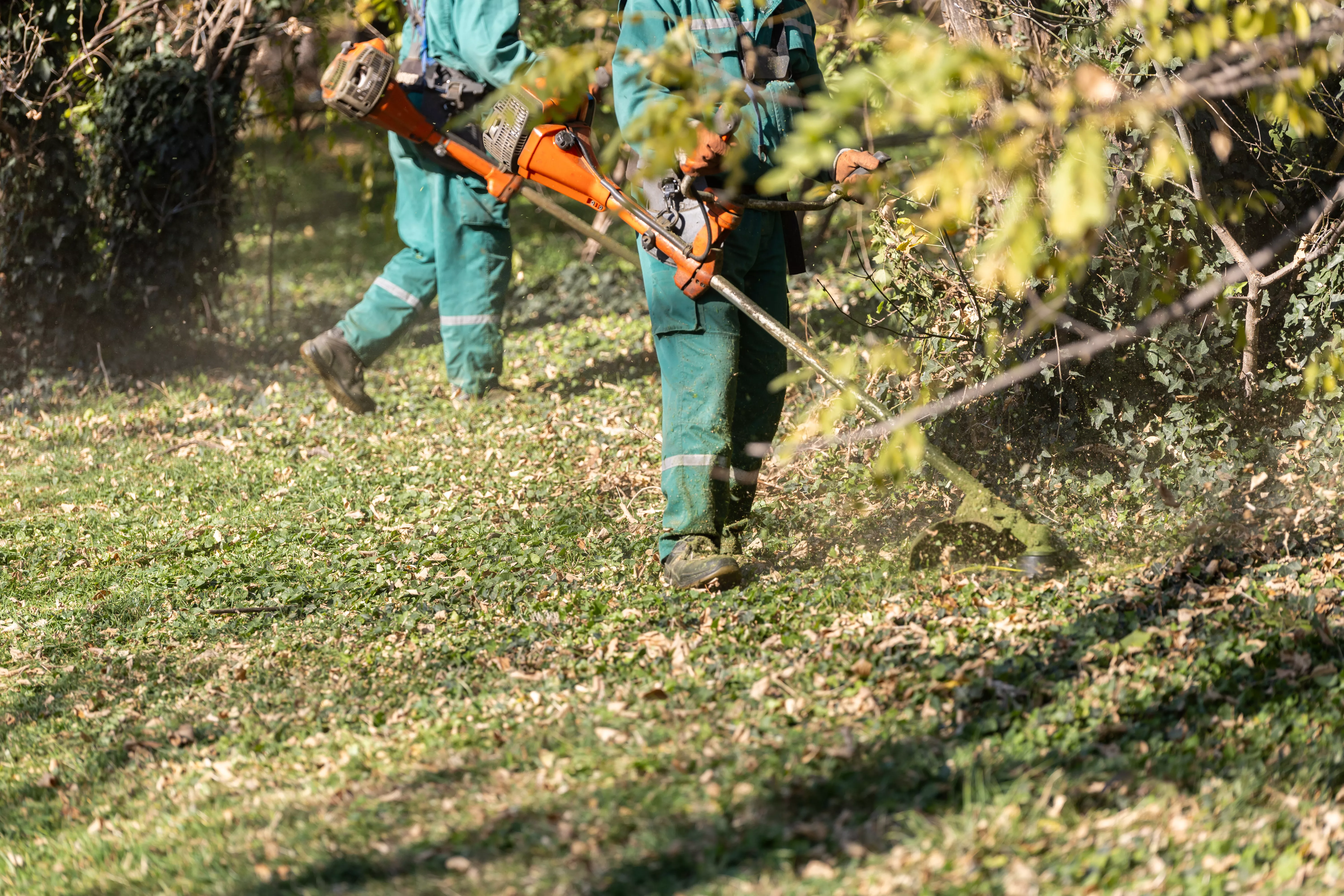 benevoles du ccff de merindol surveillent la foret consultent une carte engagement citoyen pour prevenir les feux de foret